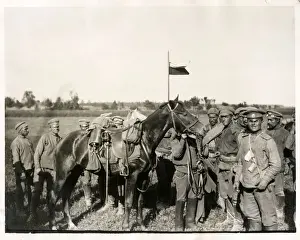 Gelatin Prints: Captured horse of a German cavalry officer, World War I