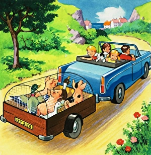 Images Dated 29th November 2007: Car pulling a trailer of farmyard animals