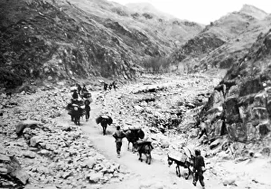 Mules Prints: A Caravan, Mongolia