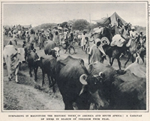 Caravan of Sikh refugees - India 1947 Caravan of Sikh refugees - India 1947