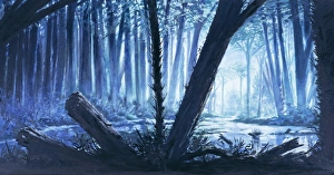 Carboniferous coal forest Carboniferous coal forest