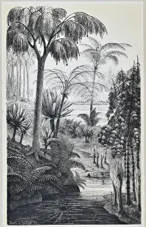 Carboniferous Prints: Carboniferous flora of Switzerland