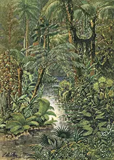 Forest Prints: Carboniferous L scape