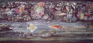 Anthozoa Gallery: Carboniferous limestone sea