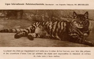Fur Lined Prints: Card of the International Anti-Vivisection League - Cat Fur