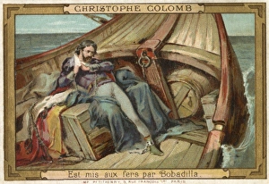 Images Dated 29th July 2011: Card Series 9