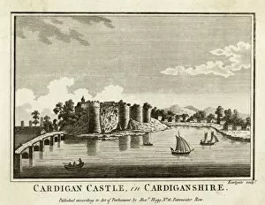 Moat Gallery: Cardigan Castle / Wales