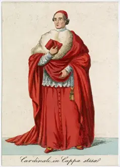 Cardinale Prints: Cardinal Coppa Stesa
