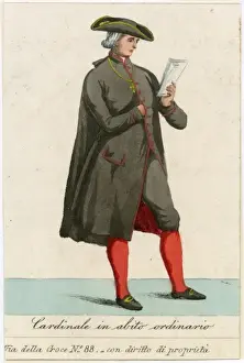 Cardinal in Everyday