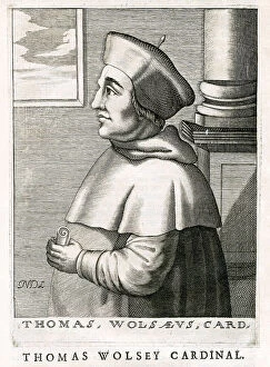 Wolsey Collection: Cardinal Thomas Wolsey