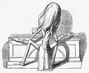 Tails Prints: Caricature of Franz Liszt at the keyboard