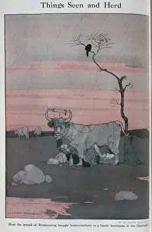 Broadcasting Prints: Caricature illustration, Highland Bull with radio aerial