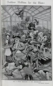 Chickens Prints: Caricature illustration, Mixed shooting in the greenhouse