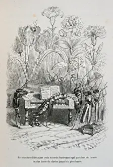 1803 Prints: Caricature of The private and public life of animals, by J. J