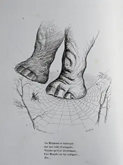 Caricature of The private and public life of animals, by J. J