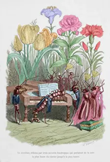 Caricature of The private and public life of animals, by J. J