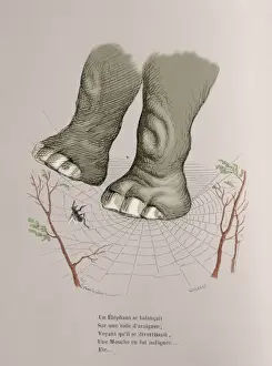 Caricature of The private and public life of animals, by J. J