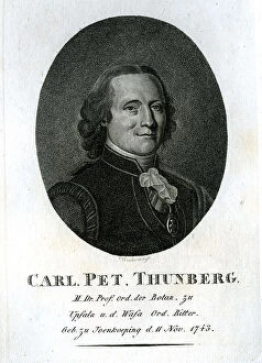 Carl Collection: Carl Pet Thunberg - Botanist