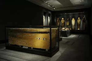 Carlsberg Glyptotek Museum. Copenhagen. Denmark. Room. Egypt