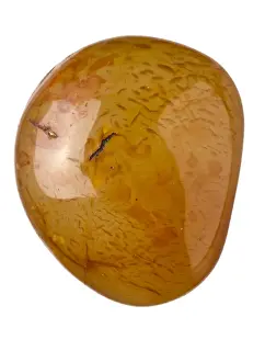 Carnelian