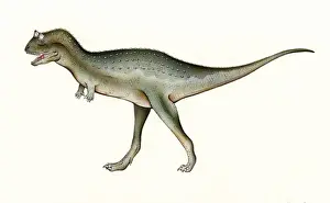 Bonaparte Prints: Carnotaurus
