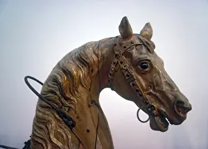 Carousel Prints: Carousel Horse