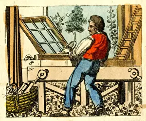 Woodwork Prints: Carpenter at work