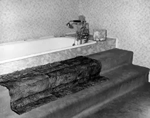 Bathroom Prints: Carpeted Bathroom