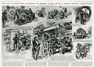 Images Dated 13th September 2020: Carrier pigeons - including testing the pigeons