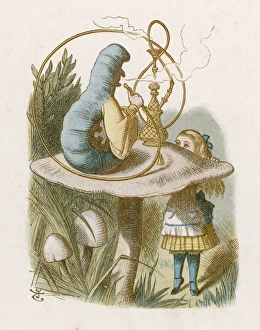 Caterpillar Collection: Carroll / Alice / Caterpilla