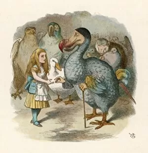 Alice in Wonderland Gallery: Carroll / Alice & the Dodo