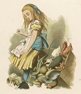 Alice in Wonderland Gallery: Carroll / Alice at Trial