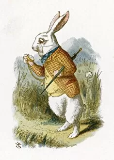 Adventures Gallery: Carroll / White Rabbit