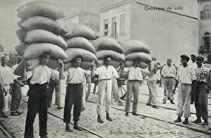 Strength Gallery: Carrying sacks of Coffee, santos, Brazil