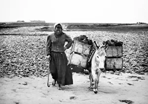 Turf Prints: Carrying turf in tea boxes, Geesala, West of Ireland
