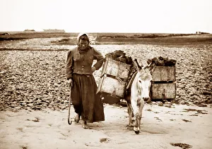 Carrying turf in tea boxes, Geesala, West of Ireland