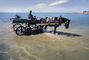 Images Dated 5th September 2019: A carter drives his horse into the water for a drink, Konya