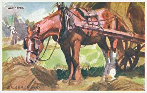 Geographia Prints: Carthorse
