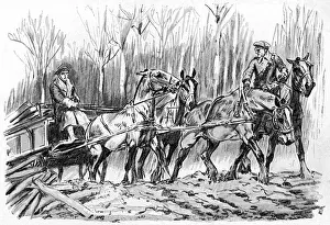 Haul Prints: Carting timber on the Western Front, WW1