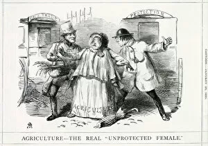 Images Dated 24th December 2019: Cartoon, Agriculture -- The Real Unprotected Female