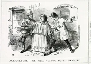 Policy Collection: Cartoon, Agriculture -- The Real Unprotected Female