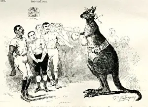 Cartoon, Boxing Kangaroo, What is the profession coming to?