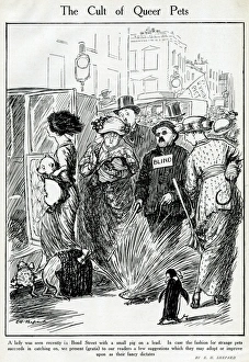 Penguin Gallery: Cartoon, The Cult of Queer Pets