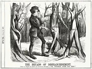 Disraeli Gallery: Cartoon, The Dryads of Disfranchisement