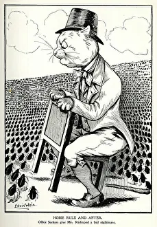 Nightmare Prints: Cartoon, John Redmond, Irish Home Rule