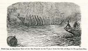 Images Dated 13th November 2018: Cartoon, Jones has an excellent view of the Sea Serpent 1856