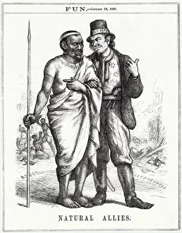 Theodore Collection: Cartoon, Natural Allies (Irish Republic and Abyssinia)