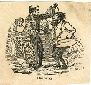 Phrenology Collection: Cartoon, Phrenology