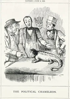 Puzzled Collection: Cartoon, The Political Chameleon