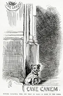Beware Gallery: Cartoon, Randolph Churchill, Cave Canem